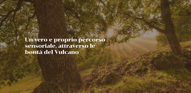 La Cook Website Seby Sorbello